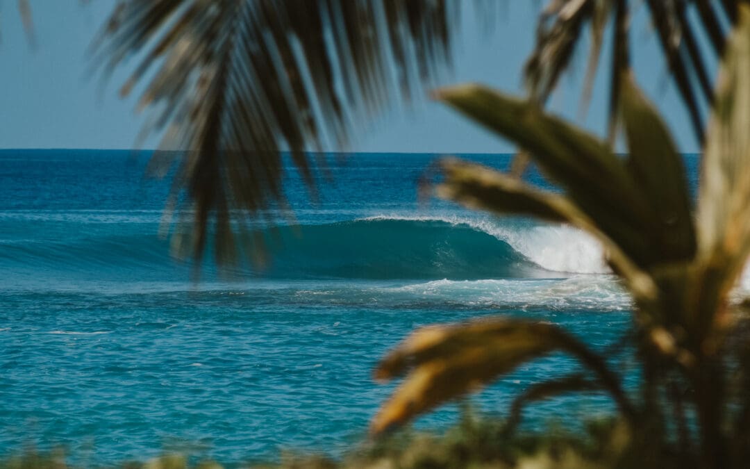 Application Closed: Villa Onu Mentawai is looking for a new Surf Guide Manager